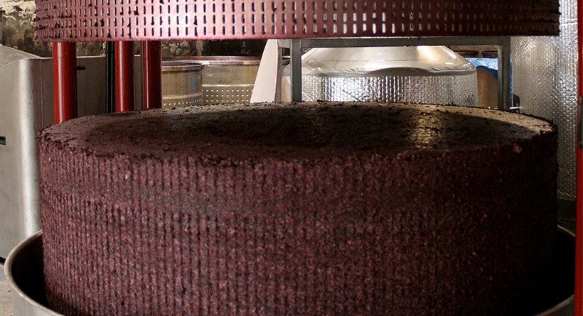 Chateau Tanunda Winemaking